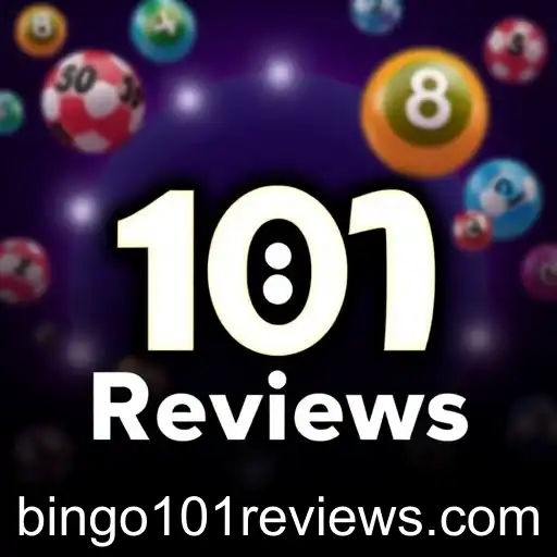 Exploring the Dynamics of Bingo101: A Comprehensive Dive